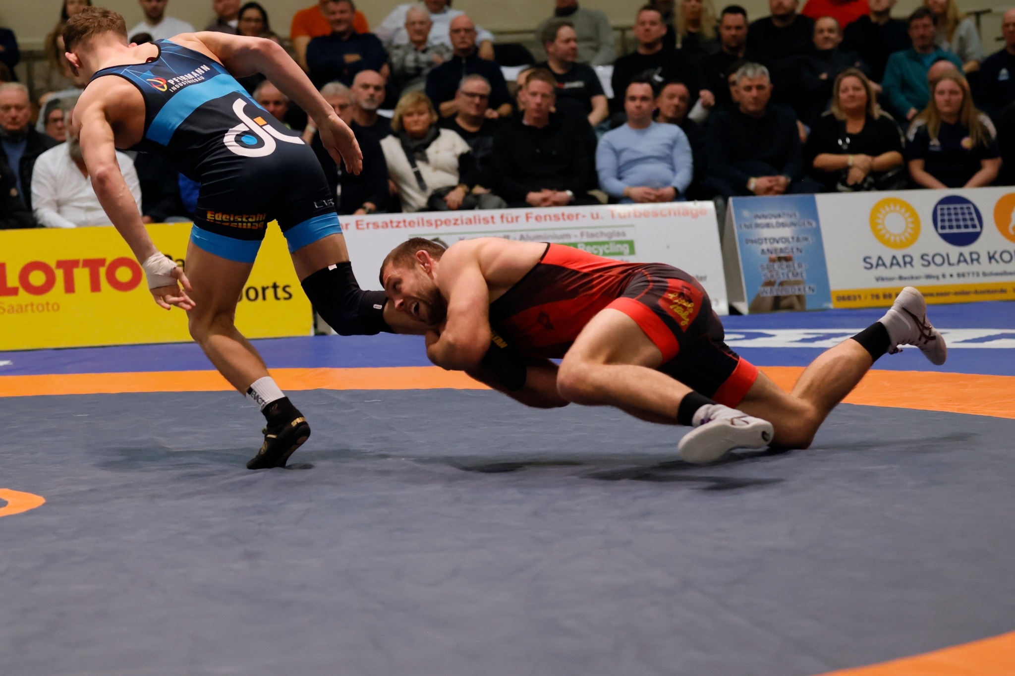 Schwere Aufgabe in Weingarten – Wölfe glauben an ihre Chance