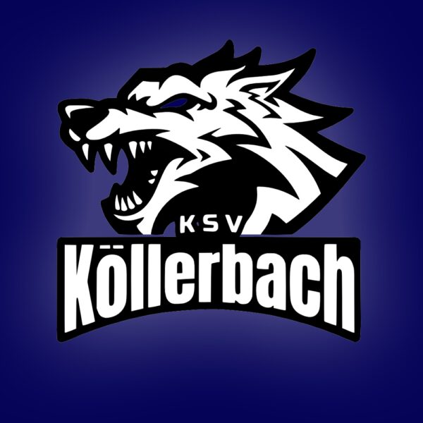 Neues Bundesliga-System ab 2026/2027 beschlossen